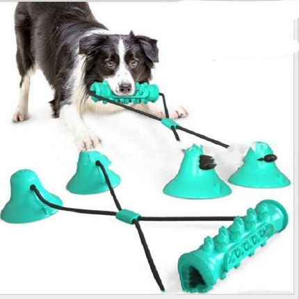 Suction Cup Molar Toy for Dogs - Petpexi Chew & Clean Ball