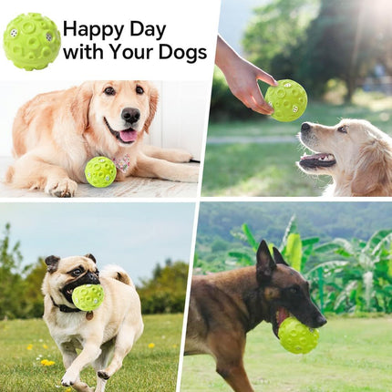 Interactive Squeaky Dog Ball – Durable Chew Toy for Aggressive Chewers | petpexi.com