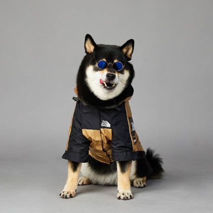 Golden Waterproof Dog Raincoat Jacket – Reflective & Stylish Rain Gear for Large Dogs | Petpexi