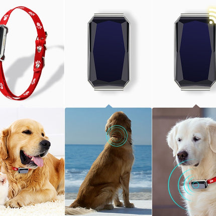 Beidou GPS pet positioning collar with LED indicator and long-lasting battery for dogs and cats

