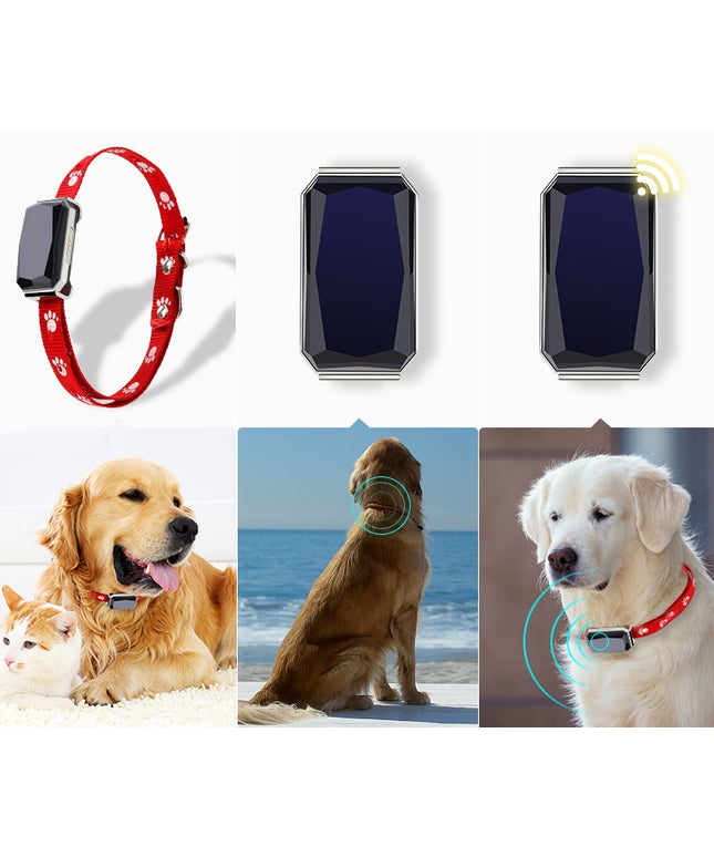 Beidou GPS pet positioning collar with LED indicator and long-lasting battery for dogs and cats

