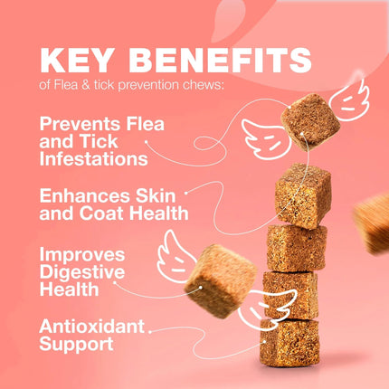 Flea Treatment for Cats – Daily Oral Flea & Tick Prevention Chews – Natural Chicken Flavor – Soft Chews for All Breeds & Ages – Free U.S. Shipping