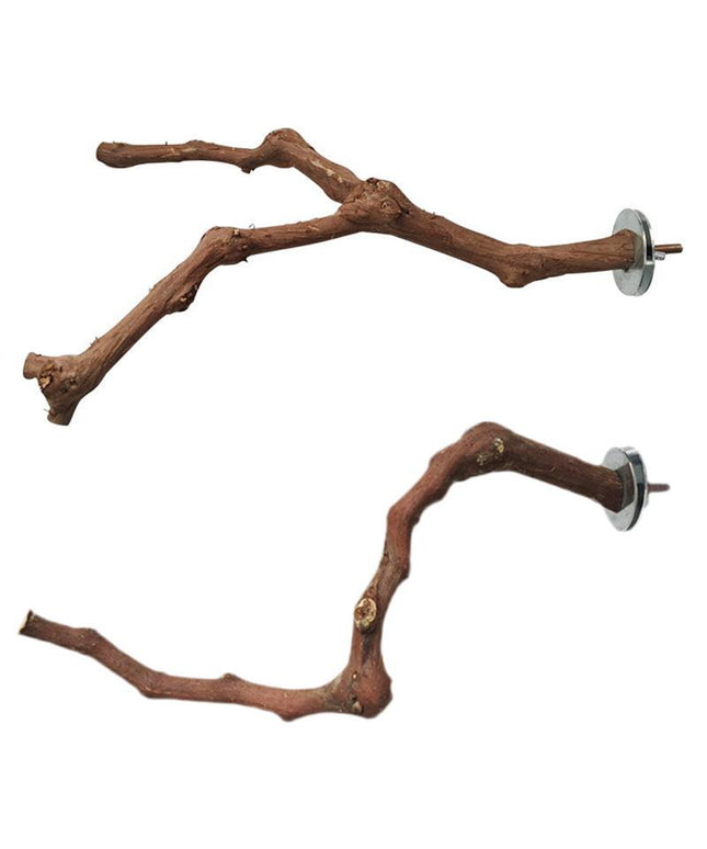 Bird Standing Stick – Natural grape wood perch for parrots and small birds.


