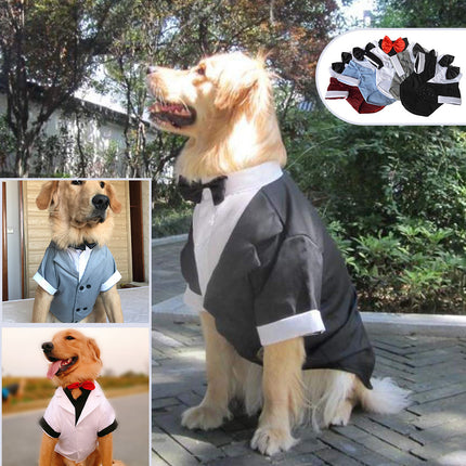British-style cotton dog suit with bow tie for big dogs – elegant formal petwear from Petpexi with free fast U.S. shipping

