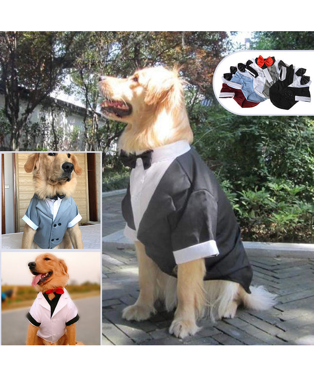 British-style cotton dog suit with bow tie for big dogs – elegant formal petwear from Petpexi with free fast U.S. shipping

