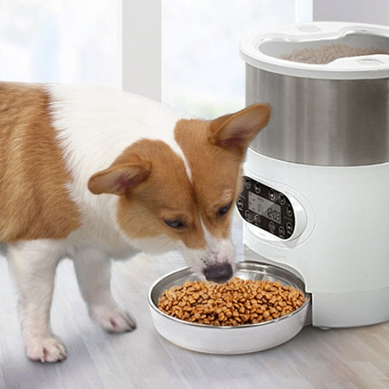 Smart APP Pet Feeder for Cats & Dogs – Automatic Food Dispenser with Stainless Steel Bowl, Voice Recording & Timer | Free USA Shipping | petpexi.com