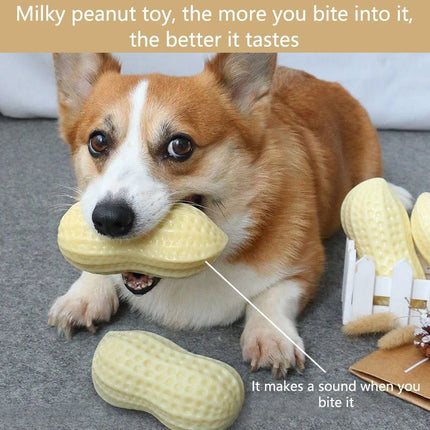 Rubber Vinyl Dog Toy – Elastic Chew & Teeth Cleaning Toy for Small Dogs Durable Dog Chew Toy Ball | www.petpexi.com