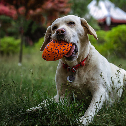 Teeth-Resistant Pet Dog Chewing Toy Football – Durable Interactive Chew Ball | www.petpexi.com