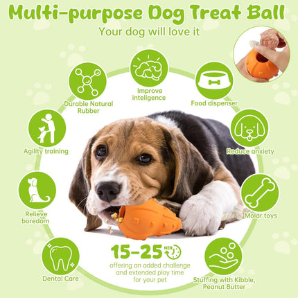 Kong Dog Toy – Durable Chew, Fetch & Interactive Treat Dispensing Toy for Dogs | www.petpexi.com