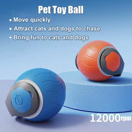 Speedy Tail Interactive Cat Toy – Dual Speed USB Rechargeable Rolling Ball | Petpexi