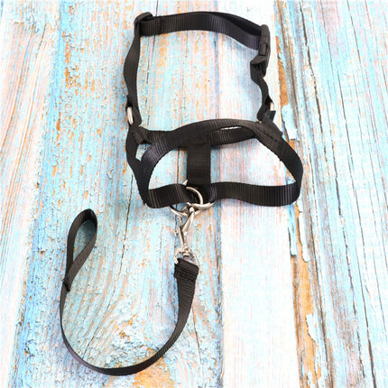 Adjustable Nylon Dog Muzzle Anti-Bite Mask – Durable & Comfortable | Fast FREE USA Shipping