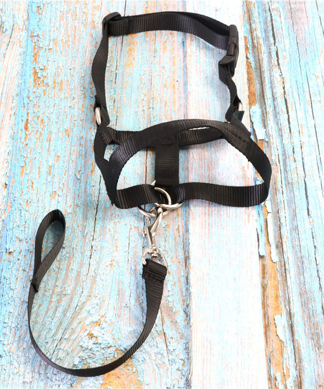 Adjustable Nylon Dog Muzzle Anti-Bite Mask – Durable & Comfortable | Fast FREE USA Shipping