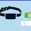 Sapphire Leather Collar Flow C / USB