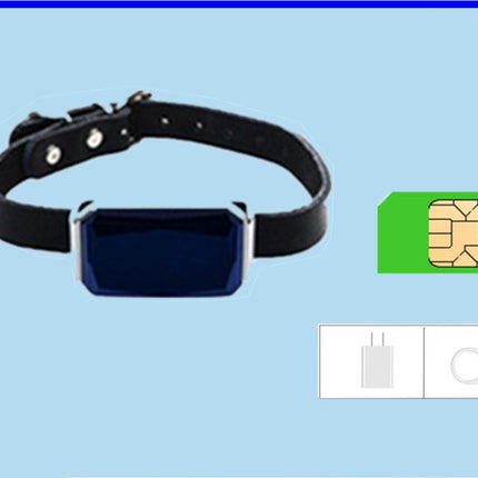 Pet Locator Beidou GPS Collar for Puppy & Cat – Multifunctional Anti-Lost Smart Tracker | www.petpexi.com