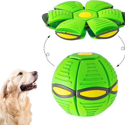 Magic Flying Saucer Ball for Dogs & Kids – Interactive Transforming Toy | petpexi.com