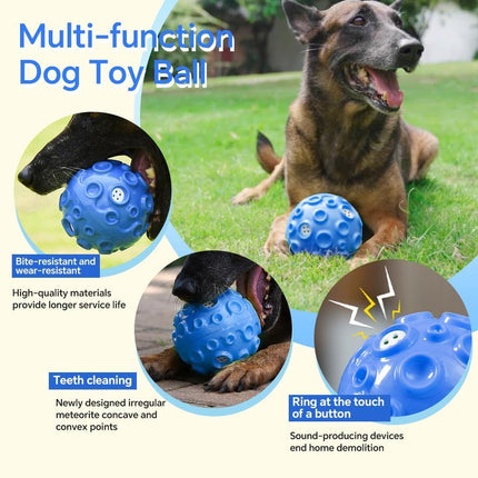 Interactive Squeaky Dog Ball – Durable Chew Toy for Aggressive Chewers | petpexi.com