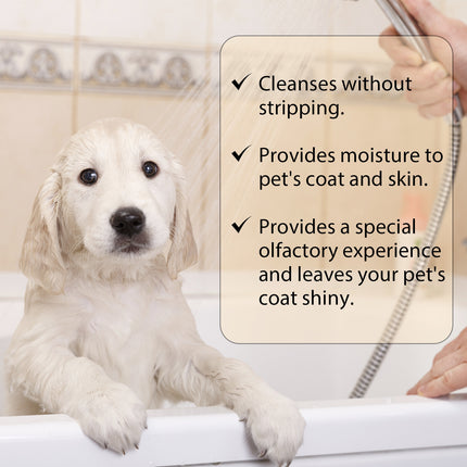 Mild & Gentle Pet Shampoo for Dogs – Softens & Untangles Hair | Fast Free USA Shipping | petpexi.com