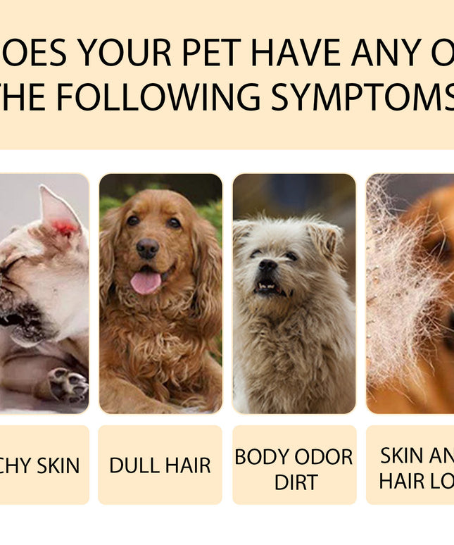 Mild & Gentle Pet Shampoo for Dogs – Softens & Untangles Hair | Fast Free USA Shipping | petpexi.com