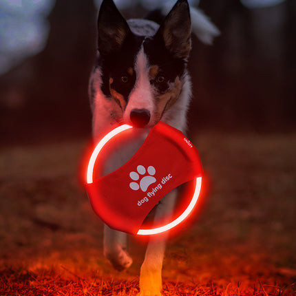 LED Luminous Flying Disc Dog Toy - Interactive Fetch & Training - Petpexi.com