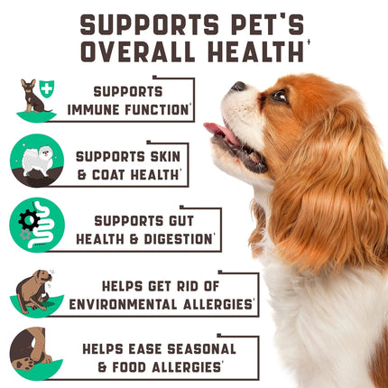 Natural Dog Allergy Chews with Omega & Probiotics – Seasonal & Food Allergy Relief, Skin & Coat Health, 180 Chews, Duck Flavor – Fast Free Shipping in the USA | PetPexi