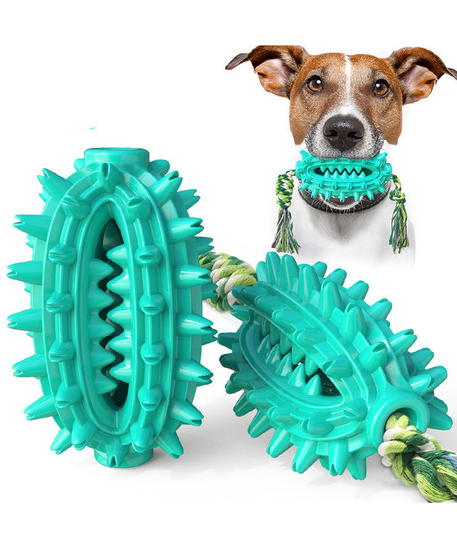 Petpexi Cactus Rope Dog Toy with Molar Stick and Toothbrush in Green