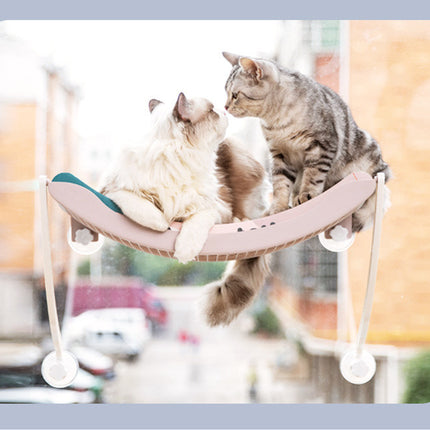 Plastic hanging cat hammock for sunbathing, cozy pet nest by PetPexi with fast and free USA shipping

