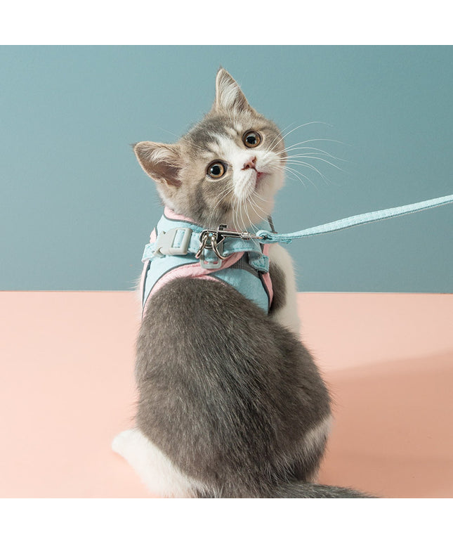 Cat Traction Rope Chest Strap – Reflective Safe Harness for Cats | Petpexi