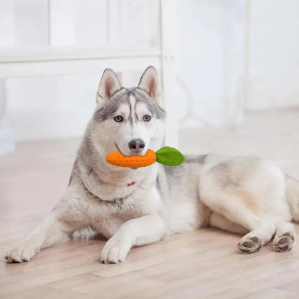 Carrot Dog Chew Toy – Durable Rubber Plush Squeaky Dog Toy for Boredom | www.petpexi.com