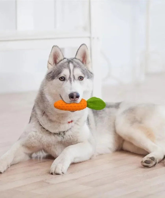 Carrot Dog Chew Toy – Durable Rubber Plush Squeaky Dog Toy for Boredom | www.petpexi.com