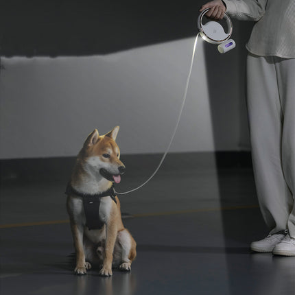 Automatic Lighting Retractable Dog Leash – High-Quality LED Night Light & Garbage Bag Holder
