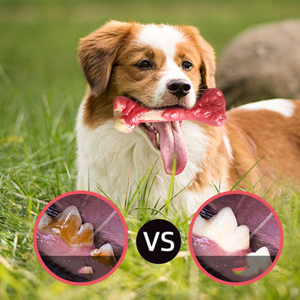 Pet Toy Bone Dog Molar Stick - Durable Rubber Chew Toy for All Dogs
