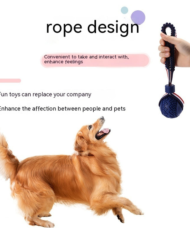 Interactive Dog Chew Ball with Rope – Teething & Training Toy | petpexi.com