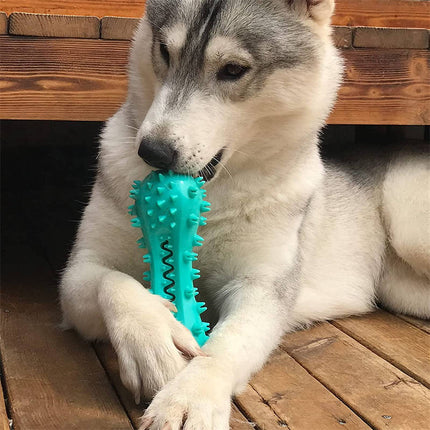 High-Quality Rubber Molar Stick Dog Chew Toy for Aggressive Dogs - Petpexi
