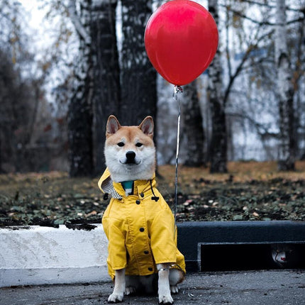 Classic British-style yellow dog raincoat with waterproof twill outer and breathable lining – premium rain jacket for dogs | Petpexi

