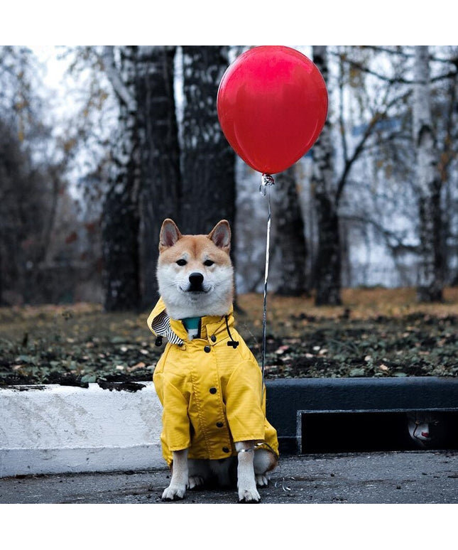 Classic British-style yellow dog raincoat with waterproof twill outer and breathable lining – premium rain jacket for dogs | Petpexi


