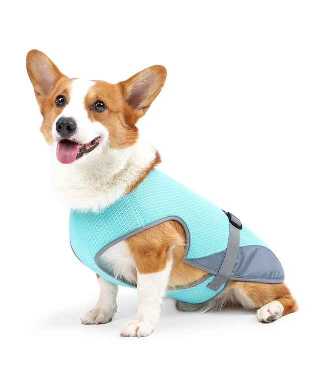 Dog wearing light gray cooling vest for summer heatstroke prevention – breathable pet clothes by Petpexi

