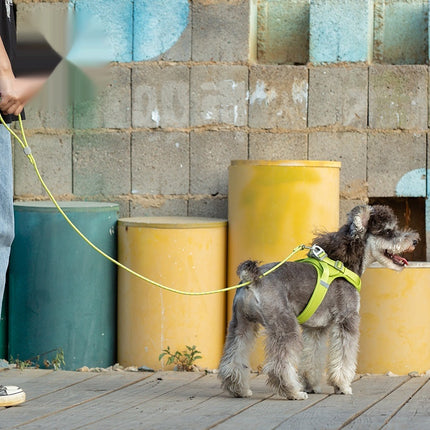 Colorful adjustable pet leash in vibrant colors - durable nylon, reflective, heavy-duty design for small, medium, large dogs from petpexi.com