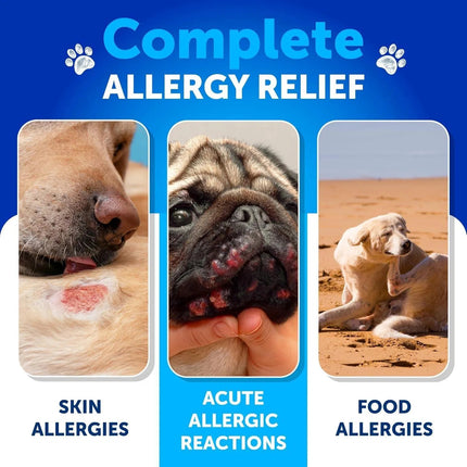 Dog Allergy Relief Chews - Itch Relief & Immune Support, 180 Duck-Flavored Soft Treats