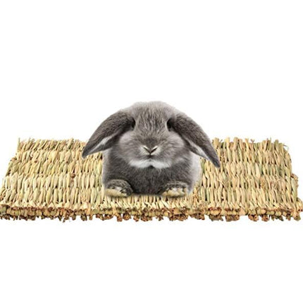 3 Pack Rabbit Bunny Mat Toy Bed for Small Animals Like Guinea Pigs & Parrots – Durable, Natural Wood – Free & Fast Shipping to the USA!