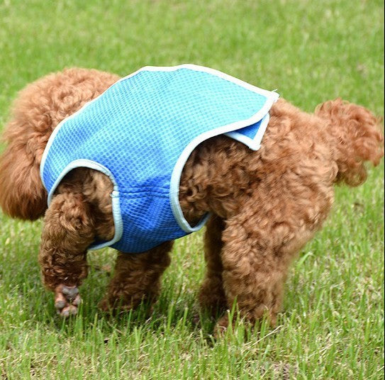 PVA Cooling Vest for Dogs and Cats – Summer Heat Relief Pet Wear