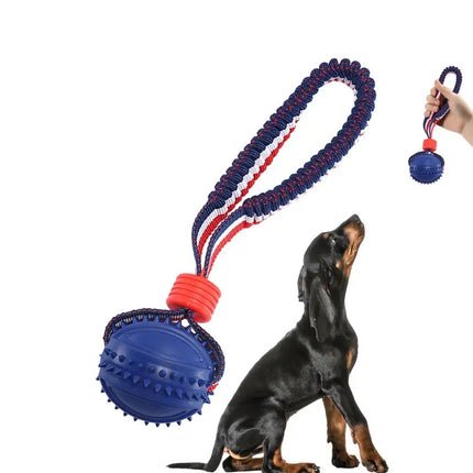 Interactive Dog Chew Ball with Rope – Teething & Training Toy | petpexi.com