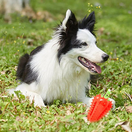 Interactive Dog Teething Chili Chewers Toy – PetPexi