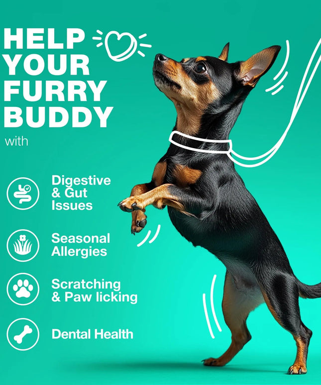 Probiotics For Dogs | Gut Health, Immunity, Yeast Balance & Itchy Skin Relief | 180 Duck-Flavored Chews | Free Shipping to USA | High Quality by Chewia