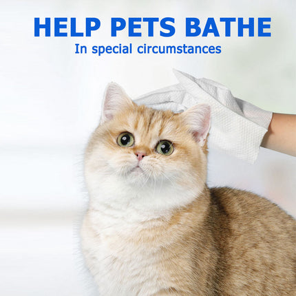 Cleaning Wipes Gloves for Dogs & Cats – Deodorizing & Grooming Bath Wipes, 6PCS Pack | Petpexi