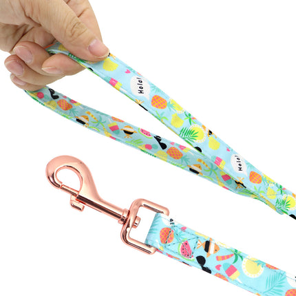 Small Dog Teddy & Corgi Collar with Leash & Strap – Durable & Adjustable | Petpexi
