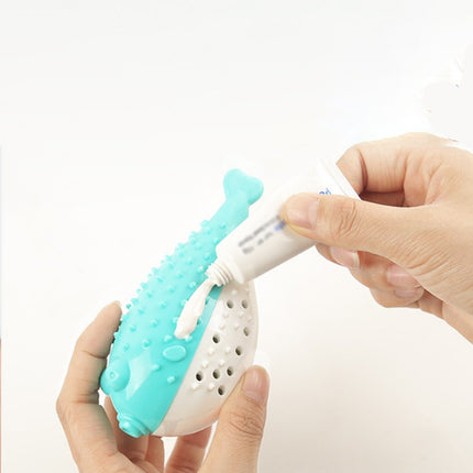 Mint Fish Cat Chew Toy – Silicone Teaser & Tooth-Cleaning Play Toy | Petpexi