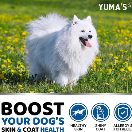 2-Pack Omega 3 Fish Oil for Dogs | Skin & Coat Supplement, Allergy Support, Anti-Shedding, Dry & Itchy Skin Relief | Salmon Oil | Shiny Coat | 340 Chews