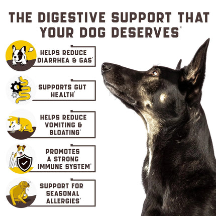 Probiotics for Dogs - Digestive Support, Itchy Skin Relief, Immunity Boost - 180 Duck Flavor Chews | www.petpexi.com