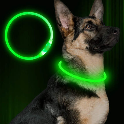 Pet Flashing USB Rechargeable Glowing Dog Collar – Safety Optical Fiber LED Necklace | Petpexi
