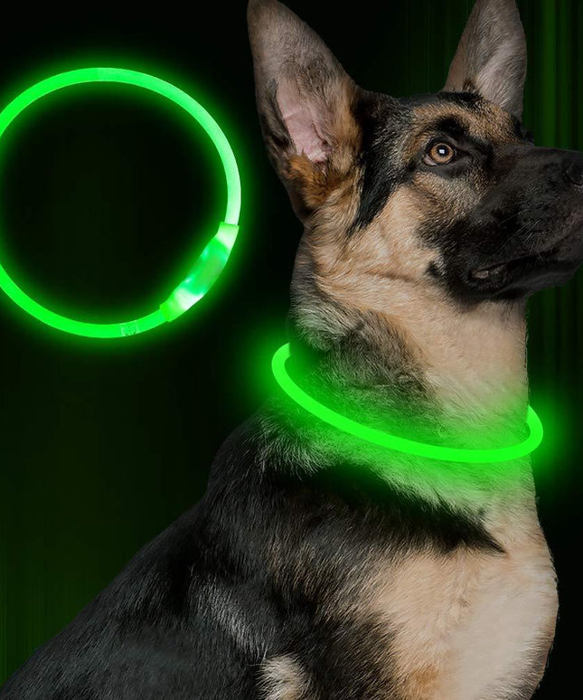 Pet Flashing USB Rechargeable Glowing Dog Collar – Safety Optical Fiber LED Necklace | Petpexi